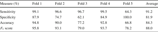 Figure 2 for Intrapapillary Capillary Loop Classification in Magnification Endoscopy: Open Dataset and Baseline Methodology