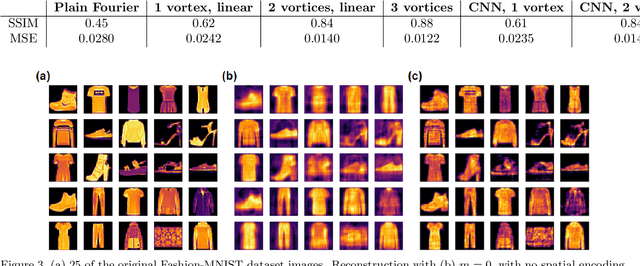 Figure 3 for Small-brain neural networks rapidly solve inverse problems with vortex Fourier encoders