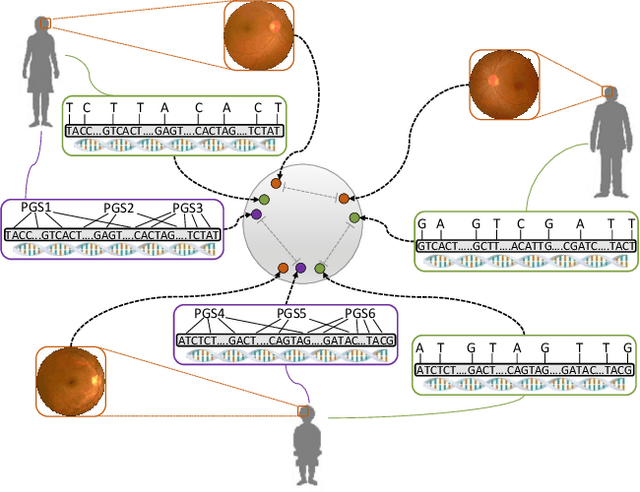 Figure 1 for ContIG: Self-supervised Multimodal Contrastive Learning for Medical Imaging with Genetics