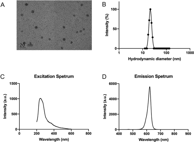 Figure 2 for GANDA: A deep generative adversarial network predicts the spatial distribution of nanoparticles in tumor pixelly