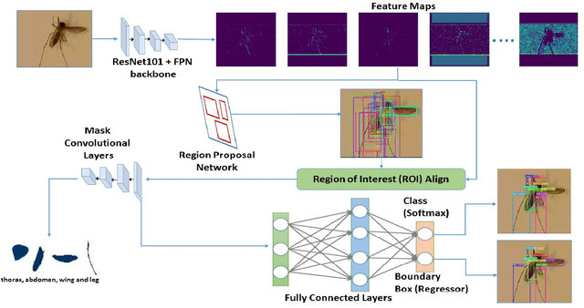 Figure 2 for A Framework based on Deep Neural Networks to Extract Anatomy of Mosquitoes from Images