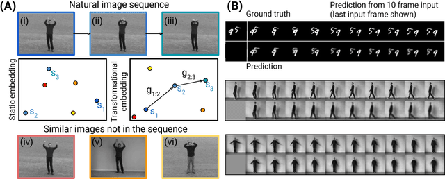 Figure 1 for Predicting the Future with Transformational States