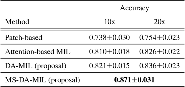 Figure 2 for Multi-scale domain-adversarial multiple-instance CNN for cancer subtype classification with non-annotated histopathological images