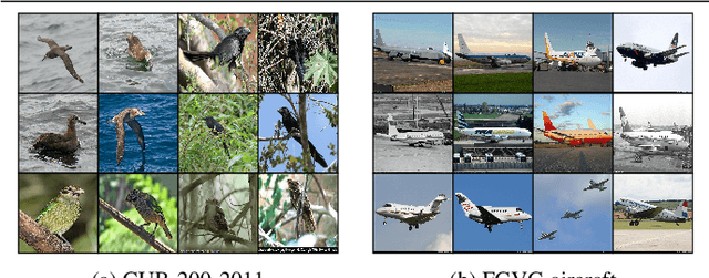 Figure 4 for Group Based Deep Shared Feature Learning for Fine-grained Image Classification