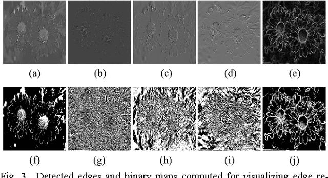 Figure 2 for Spatial Stimuli Gradient Sketch Model