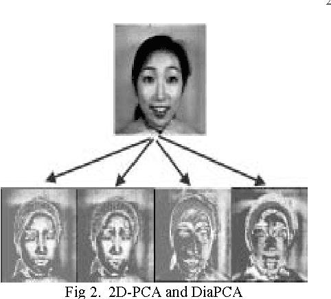 Figure 4 for Facial Expression Classification Based on Multi Artificial Neural Network and Two Dimensional Principal Component Analysis