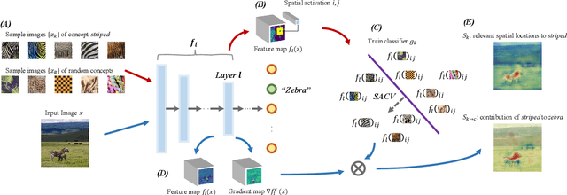 Figure 1 for Exploring Concept Contribution Spatially: Hidden Layer Interpretation with Spatial Activation Concept Vector