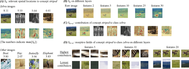 Figure 2 for Exploring Concept Contribution Spatially: Hidden Layer Interpretation with Spatial Activation Concept Vector