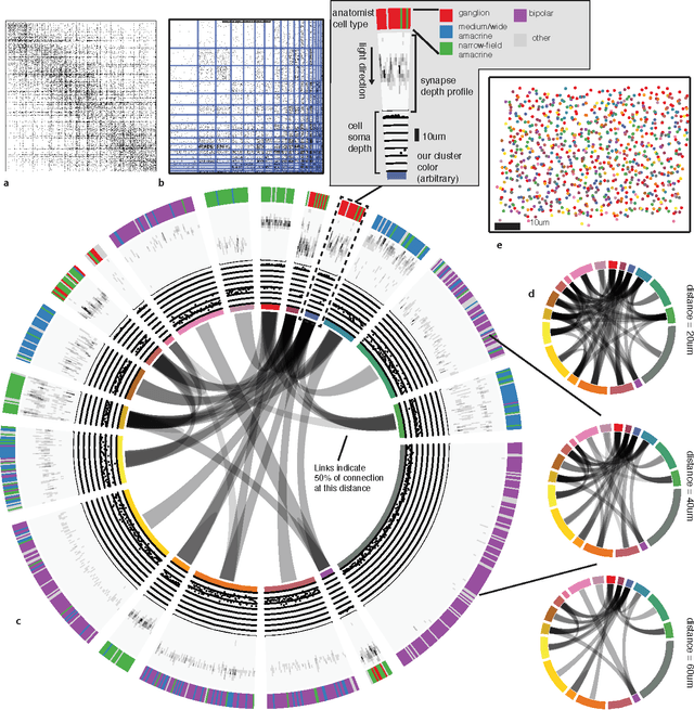 Figure 3 for Automatic discovery of cell types and microcircuitry from neural connectomics