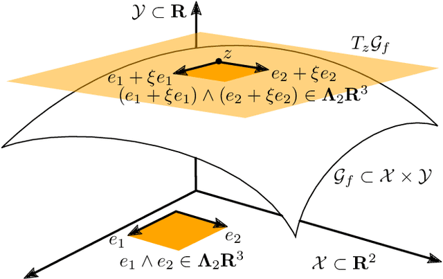 Figure 1 for Lifting Vectorial Variational Problems: A Natural Formulation based on Geometric Measure Theory and Discrete Exterior Calculus