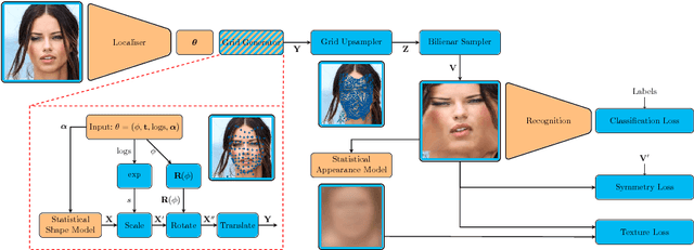 Figure 1 for Statistical transformer networks: learning shape and appearance models via self supervision