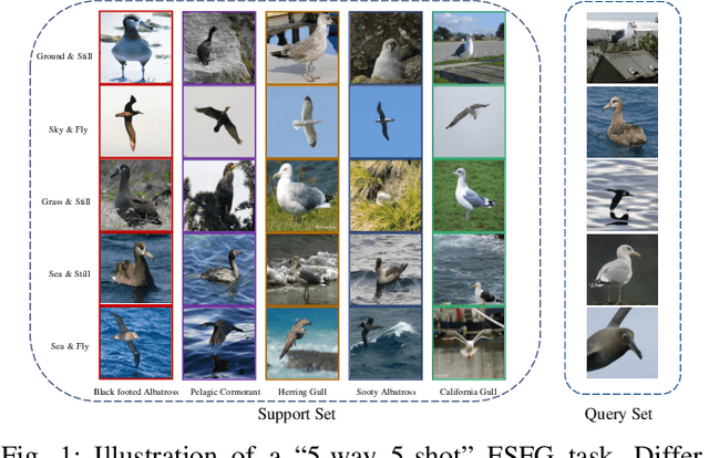 Figure 1 for Few-shot Fine-grained Image Classification via Multi-Frequency Neighborhood and Double-cross Modulation