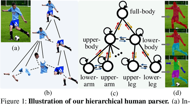 Figure 1 for Hierarchical Human Parsing with Typed Part-Relation Reasoning