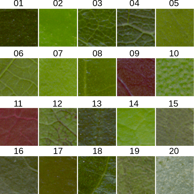 Figure 2 for Reorganizing local image features with chaotic maps: an application to texture recognition