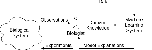 Figure 1 for How to Tell Deep Neural Networks What We Know