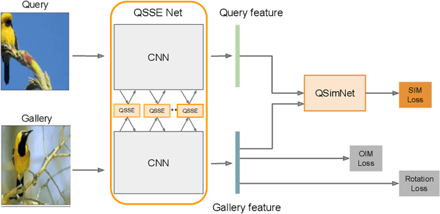 Figure 1 for Query-Guided Networks for Few-shot Fine-grained Classification and Person Search