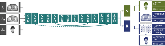 Figure 1 for A Cross-Stitch Architecture for Joint Registration and Segmentation in Adaptive Radiotherapy