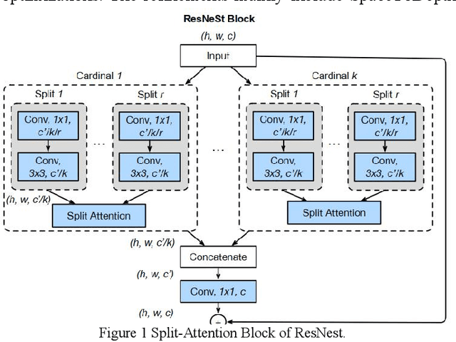 Figure 1 for A Technical Report for VIPriors Image Classification Challenge