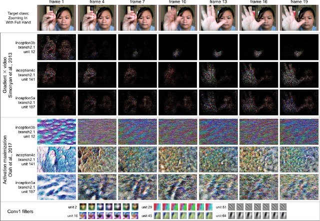 Figure 3 for Explainable 3D Convolutional Neural Networks by Learning Temporal Transformations