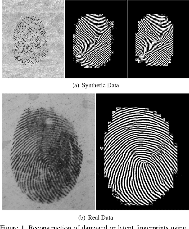 Figure 1 for Generative Convolutional Networks for Latent Fingerprint Reconstruction