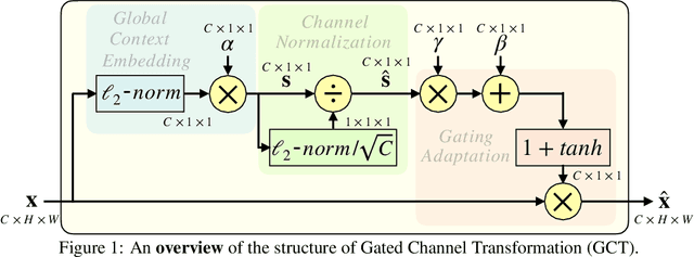 Figure 1 for Gated Channel Transformation for Visual Recognition