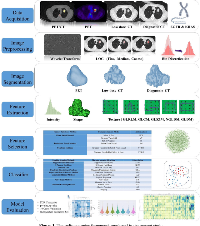 Figure 1 for Next Generation Radiogenomics Sequencing for Prediction of EGFR and KRAS Mutation Status in NSCLC Patients Using Multimodal Imaging and Machine Learning Approaches