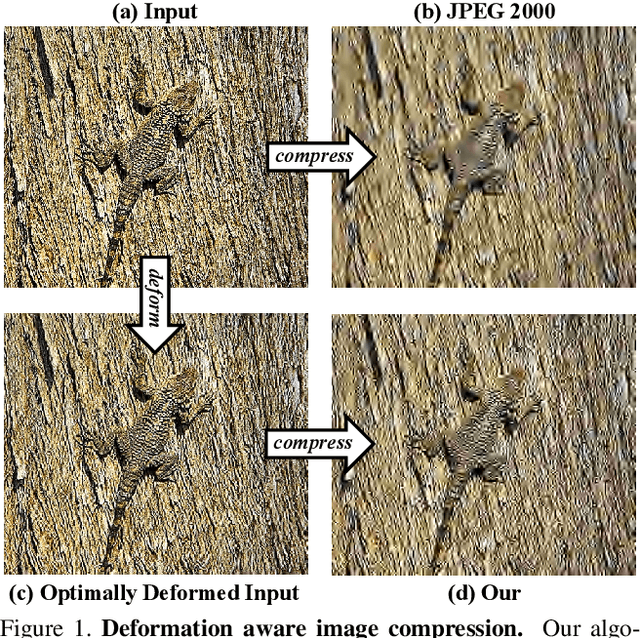 Figure 1 for Deformation Aware Image Compression