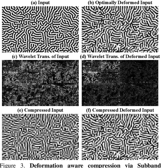 Figure 3 for Deformation Aware Image Compression