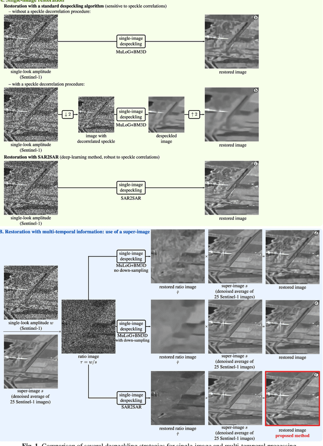 Figure 1 for Exploiting multi-temporal information for improved speckle reduction of Sentinel-1 SAR images by deep learning