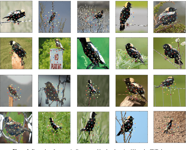 Figure 3 for Concept Learners for Generalizable Few-Shot Learning