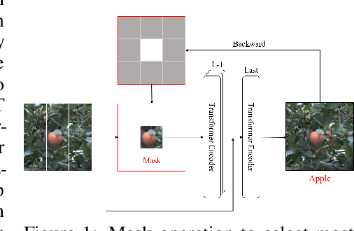 Figure 1 for Mask-guided Vision Transformer (MG-ViT) for Few-Shot Learning