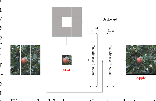 Figure 1 for Mask-guided Vision Transformer  for Few-Shot Learning