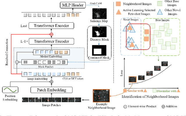 Figure 3 for Mask-guided Vision Transformer (MG-ViT) for Few-Shot Learning