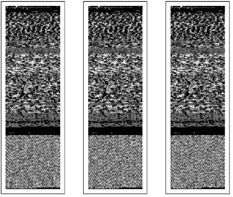 Figure 4 for CNN vs ELM for Image-Based Malware Classification