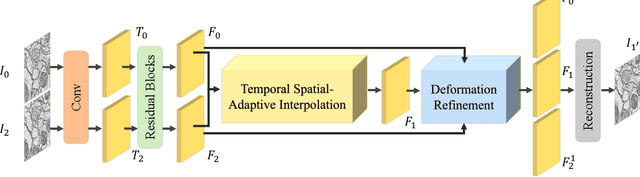 Figure 1 for Temporal Spatial-Adaptive Interpolation with Deformable Refinement for Electron Microscopic Images