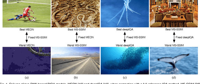 Figure 1 for Active Fine-Tuning from gMAD Examples Improves Blind Image Quality Assessment