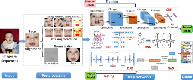 Figure 4 for Deep Facial Expression Recognition: A Survey