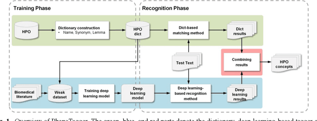Figure 1 for PhenoTagger: A Hybrid Method for Phenotype Concept Recognition using Human Phenotype Ontology