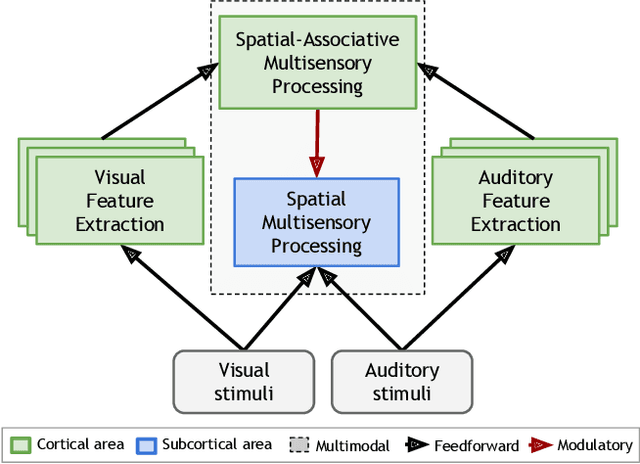 Figure 1 for Towards Modeling the Interaction of Spatial-Associative Neural Network Representations for Multisensory Perception