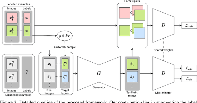 Figure 3 for MatchGAN: A Self-Supervised Semi-Supervised Conditional Generative Adversarial Network