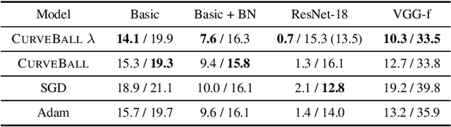 Figure 4 for Small steps and giant leaps: Minimal Newton solvers for Deep Learning