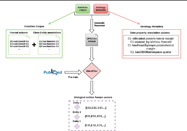 Figure 1 for OPA2Vec: combining formal and informal content of biomedical ontologies to improve similarity-based prediction