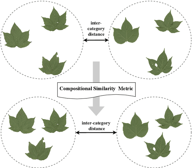Figure 2 for A Compositional Feature Embedding and Similarity Metric for Ultra-Fine-Grained Visual Categorization