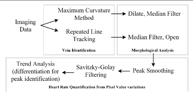 Figure 3 for Rapid, remote and low-cost finger vasculature mapping for heart rate monitoring