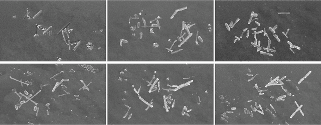 Figure 3 for DETCID: Detection of Elongated Touching Cells with Inhomogeneous Illumination using a Deep Adversarial Network