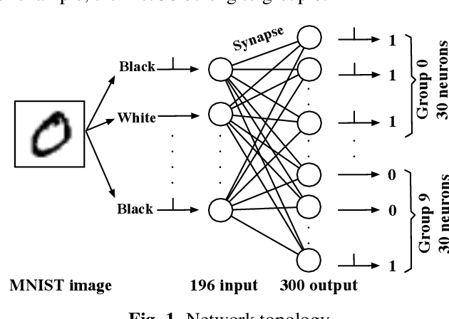 Figure 1 for A Supervised STDP-based Training Algorithm for Living Neural Networks
