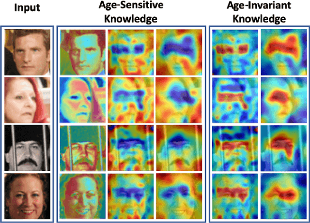 Figure 2 for Beyond Disentangled Representations: An Attentive Angular Distillation Approach to Large-scale Lightweight Age-Invariant Face Recognition