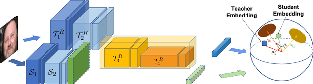 Figure 4 for Beyond Disentangled Representations: An Attentive Angular Distillation Approach to Large-scale Lightweight Age-Invariant Face Recognition