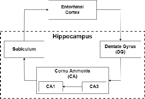 Figure 1 for Spike-based computational models of bio-inspired memories in the hippocampal CA3 region on SpiNNaker