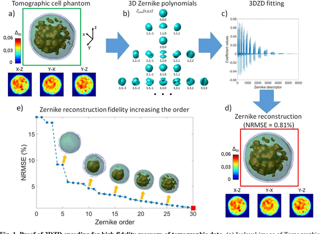 Figure 1 for Single-cell phase-contrast tomograms data encoded by 3D Zernike descriptors